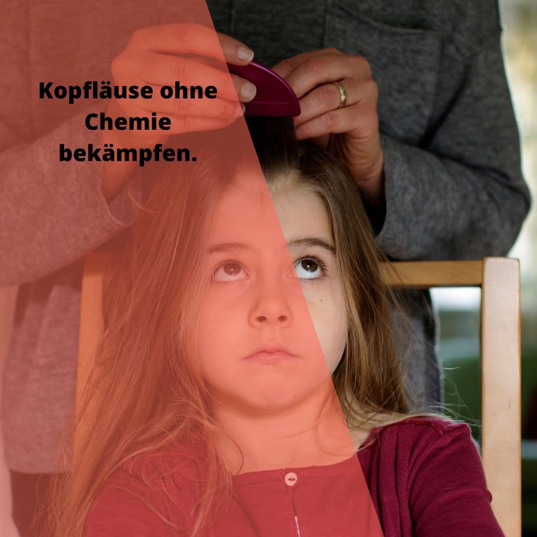 Illustration zum Thema Kopfläuse im Familienalltag.