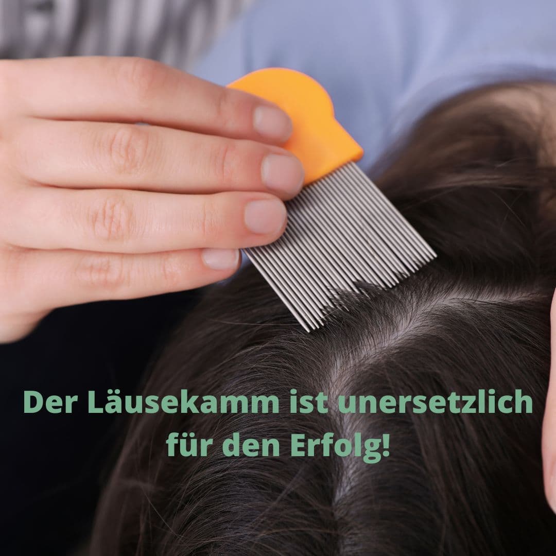 Weitere Illustration zum Artikel.