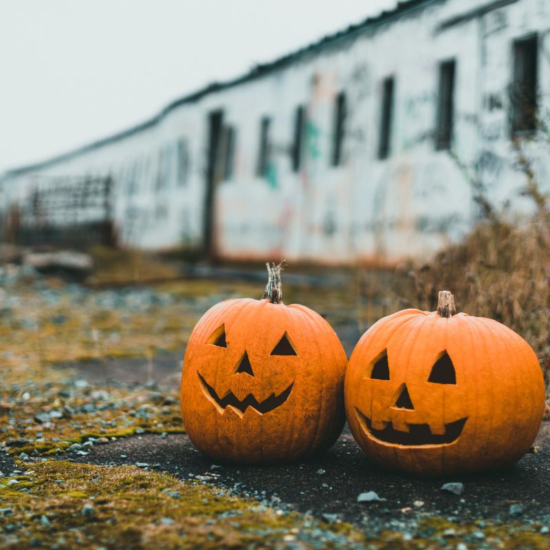 Zwei geschnitzte Halloween-Kürbisse mit lachenden Gesichtern, aufgestellt im Freien vor einer alten Mauer – herbstliche Deko mit Kürbis