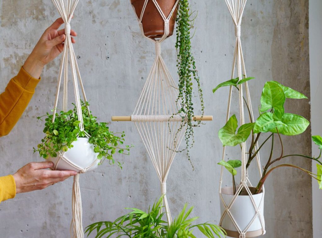 Makramee-Blumenampeln mit grünen Zimmerpflanzen – DIY-Pflanzenhänger aus Baumwollseil als nachhaltige Geschenkidee.